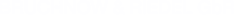 Bruchnow & Riedel GbR Logo